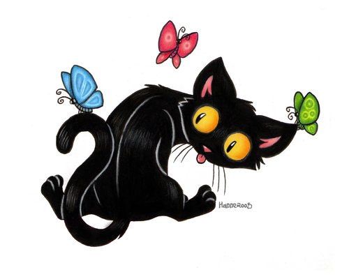 Дмитрий Гаврилов | Санкт-Петербург