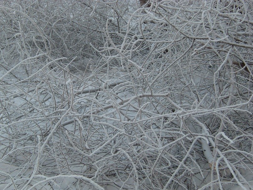 Мария Ахметянова | Челябинск