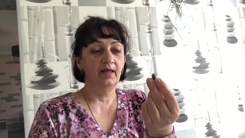 IMG_1662.MOV
