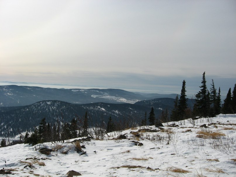 Алексей Стешковский | Новосибирск