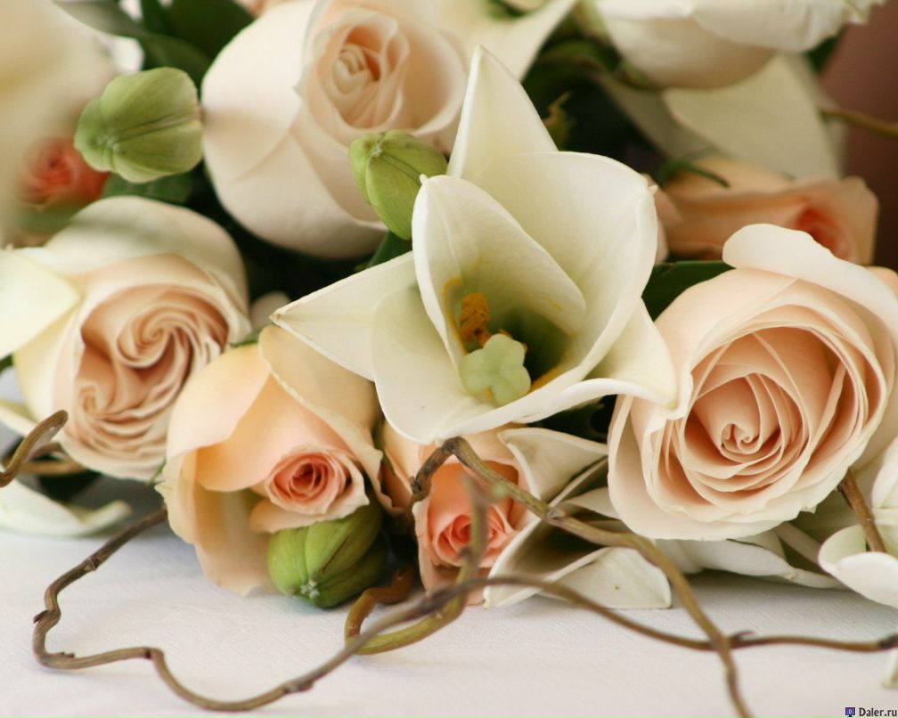 Елена Шейкина | Краснодар