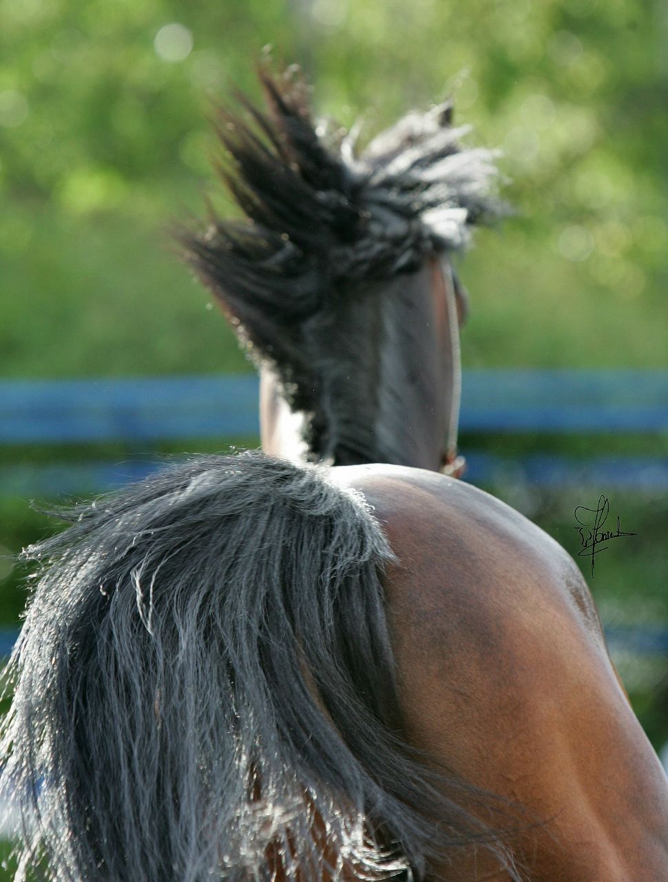Екатерина Шестакова | Москва