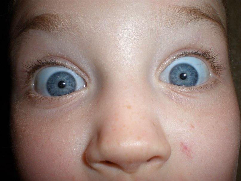 Александр Рубцов | Севастополь