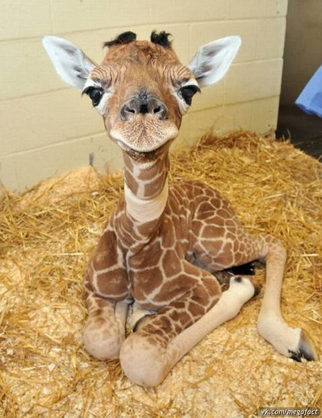 Ирина Попова | Кемерово