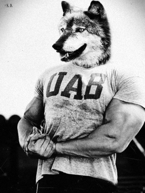 Сергей Лавриченко | 