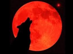 Анюка Белякова | Подольск