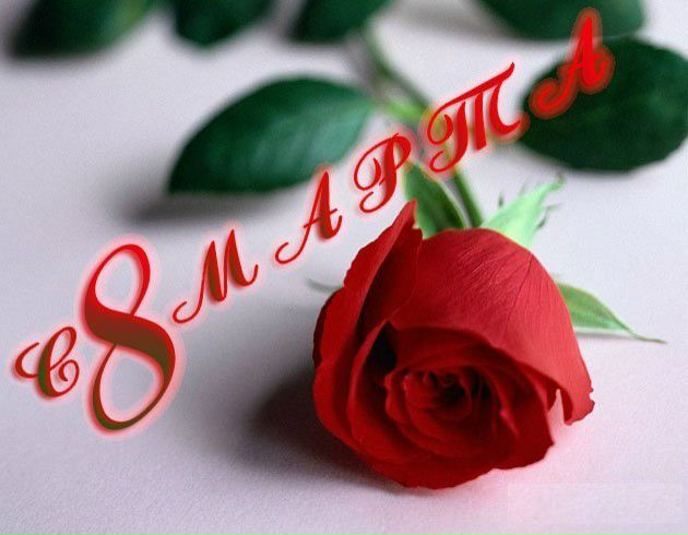 №16, Daniela Rakanovic, Čačak №16, Daniela Rakanovic, Čačak