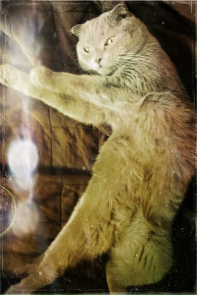 №38, Ольга Кумихина, 39 лет, Москва №38, Ольга Кумихина, 39 лет, Москва