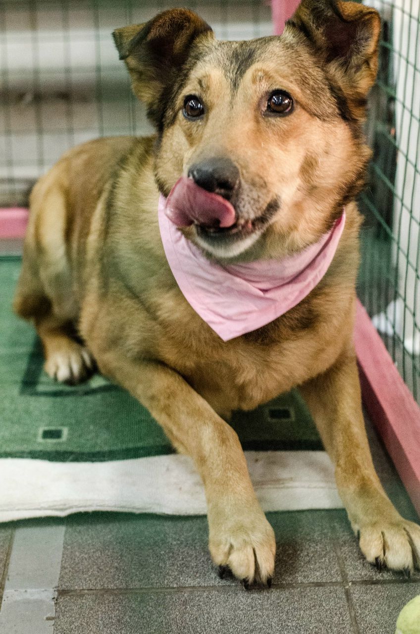 Юрий Голоколосов | Санкт-Петербург