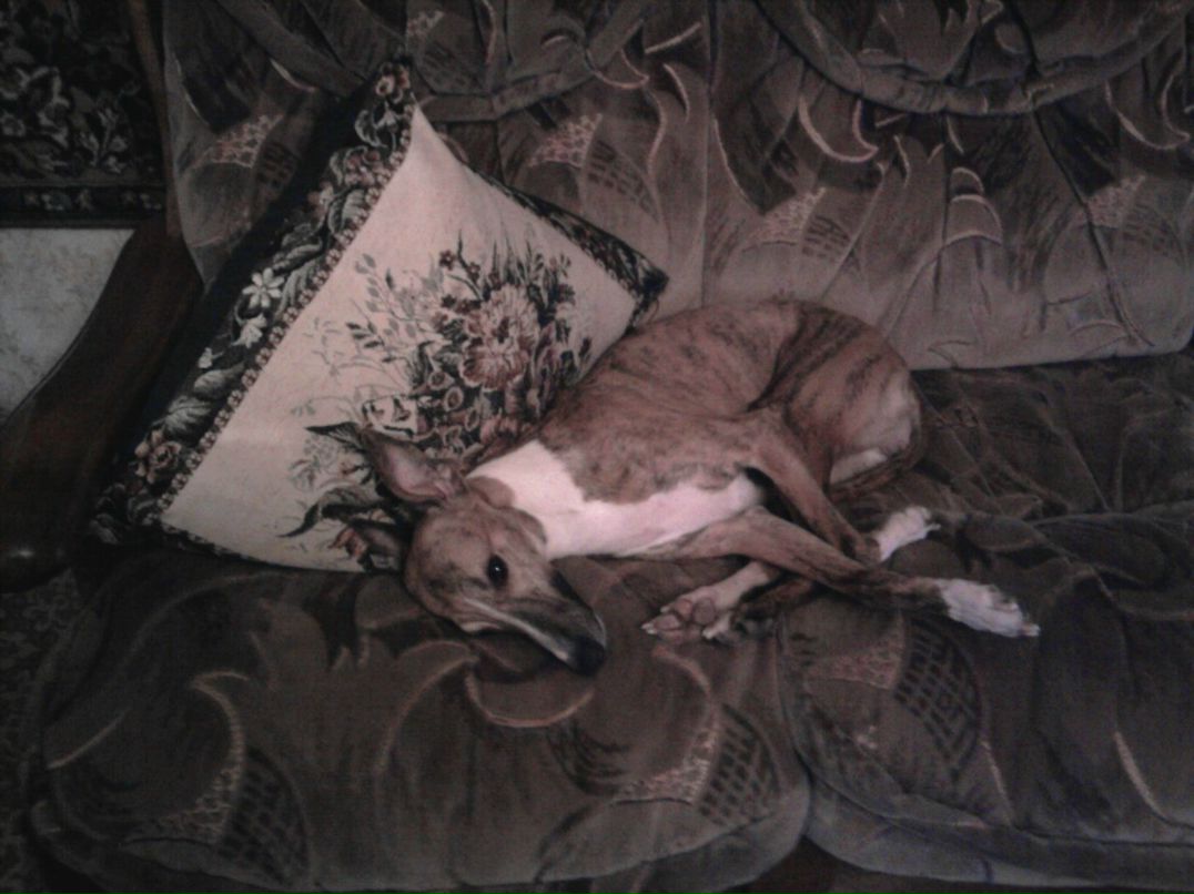 Валера Белявский | Москва