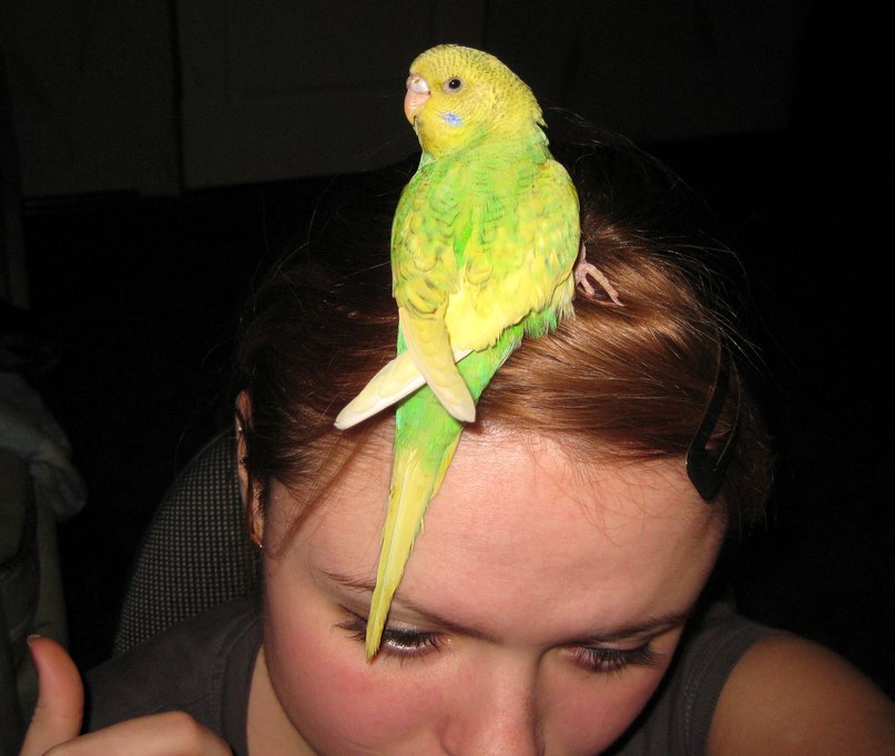 Аня Кондратьева | Кривой Рог