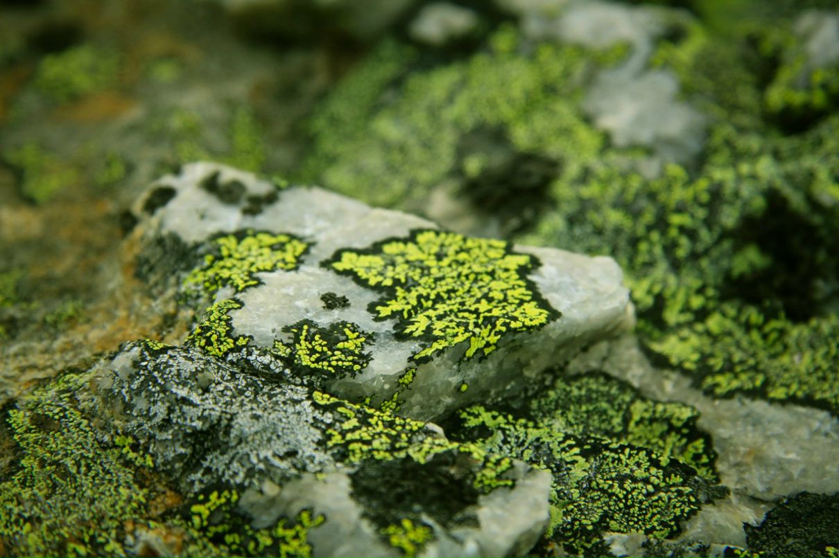 Ковал Сергеевич | Мурманск