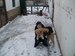 Олег Кизюн фотография #38 (источник - https://vk.com/id136592506)