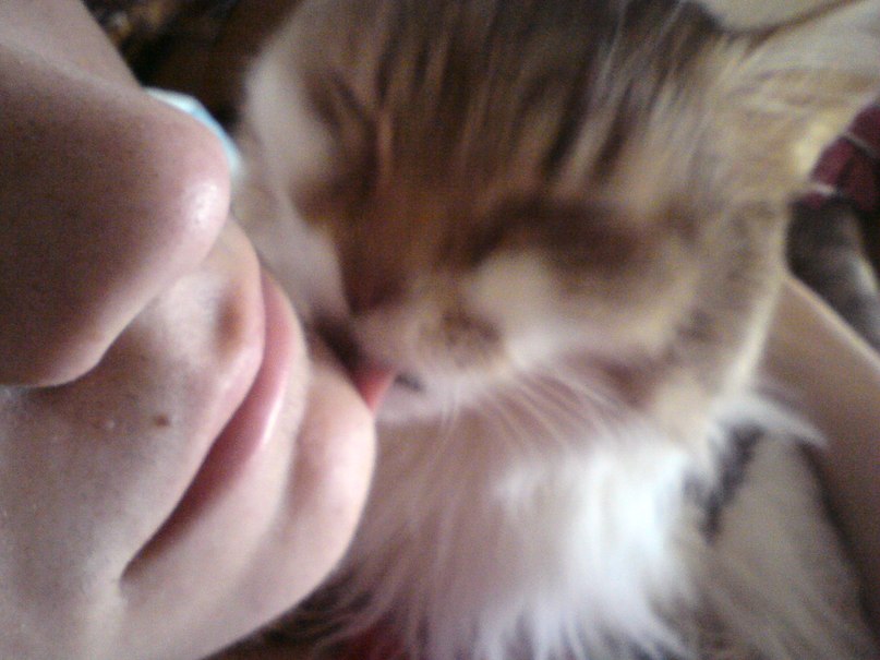 Кирюха Ключников ╭∩╮(︶_︶)╭∩╮ᶠᶸᶜᵏᵧₒᵤ | Воронеж