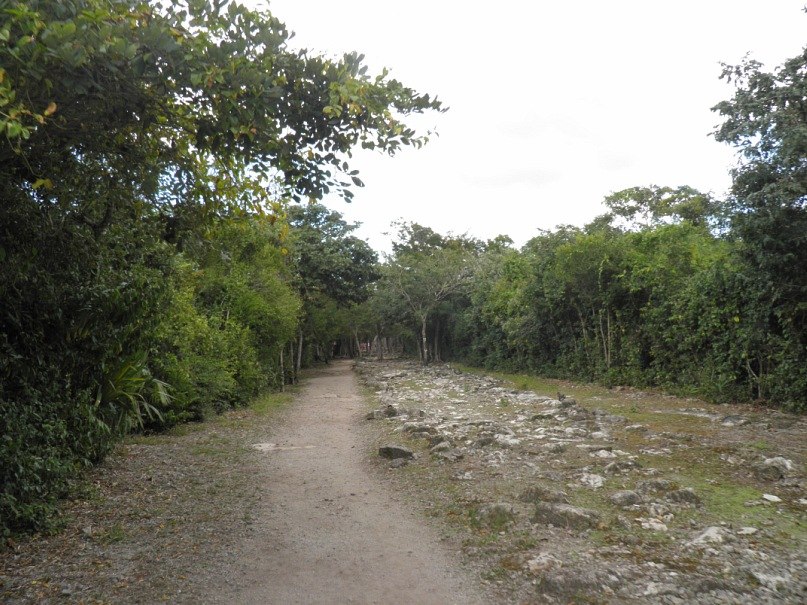 Анастасия Кравец | Киев