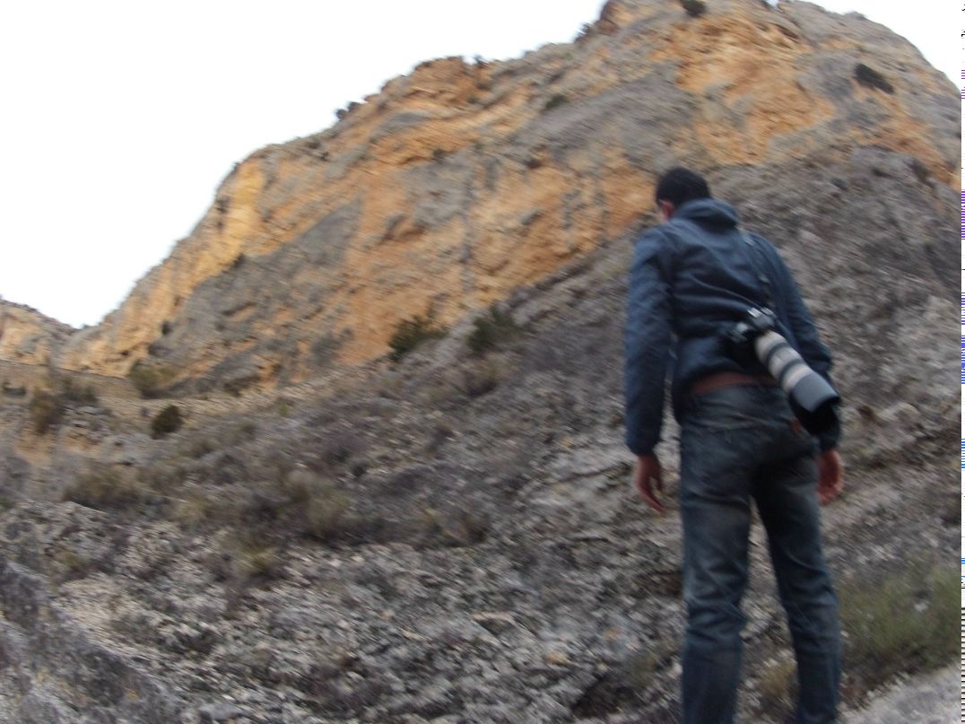 Andrey Tekitolamoto | Ibiza Nueva