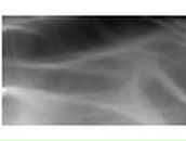 Сергей Песковский | Кричев