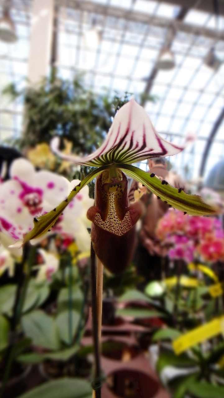 Катерина Rez | 