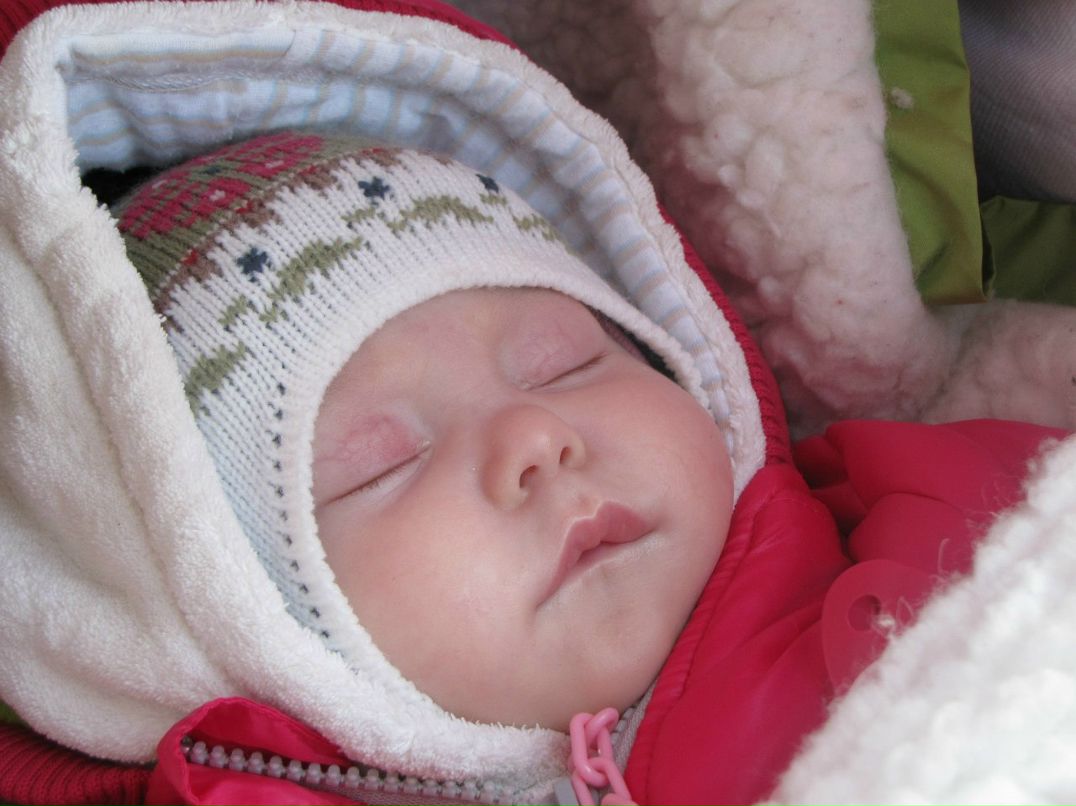 Сергей Цыганенков | Санкт-Петербург