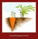 №35 Елена Хаджиянни 03.10.1987: профиль, фото, статус - ВКонтакте №35 Елена Хаджиянни 03.10.1987: профиль, фото, статус - ВКонтакте