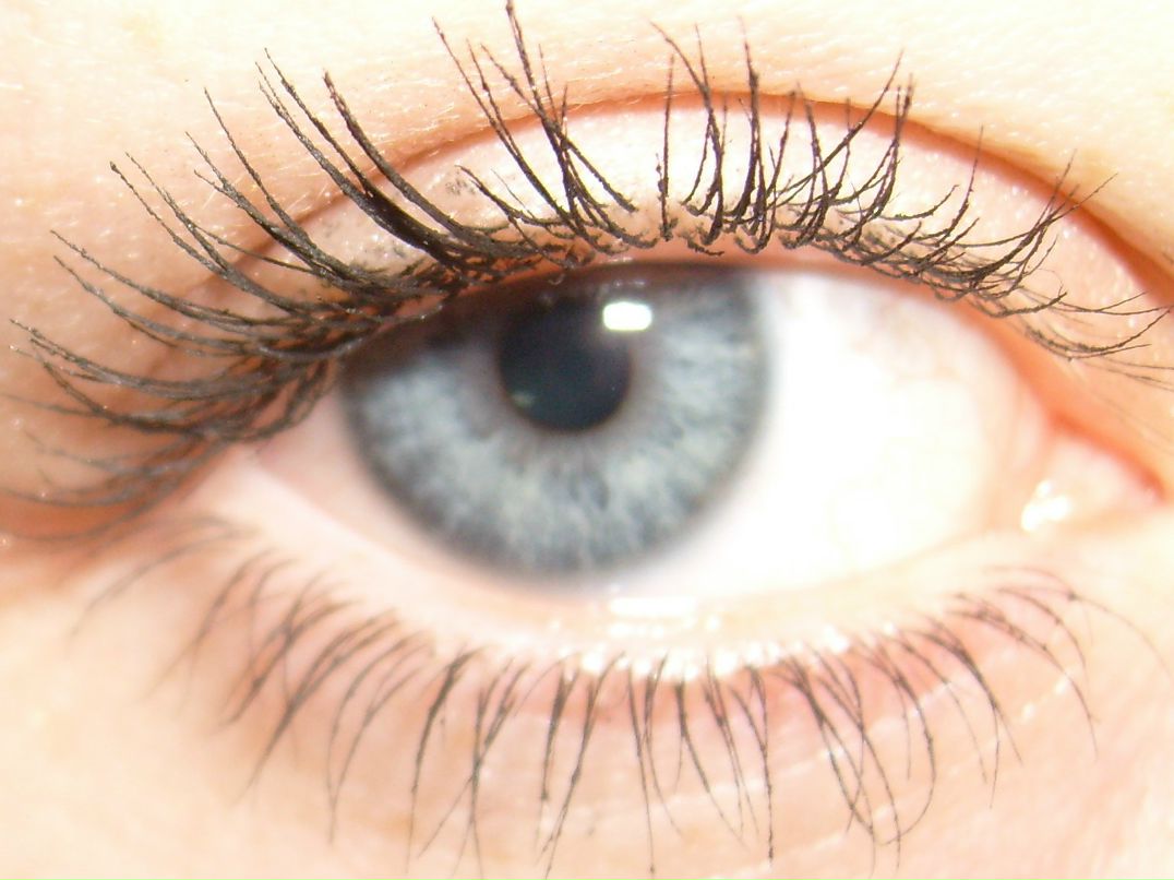 Екатерина Метлицкая | Минск