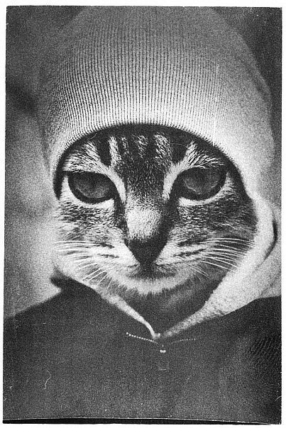 Сергей Лашко | 