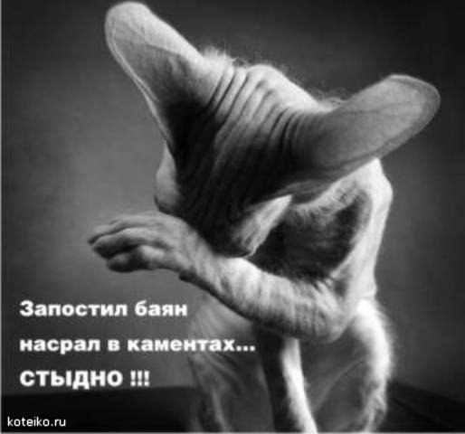 Наталия Осовец NAT | Бровары