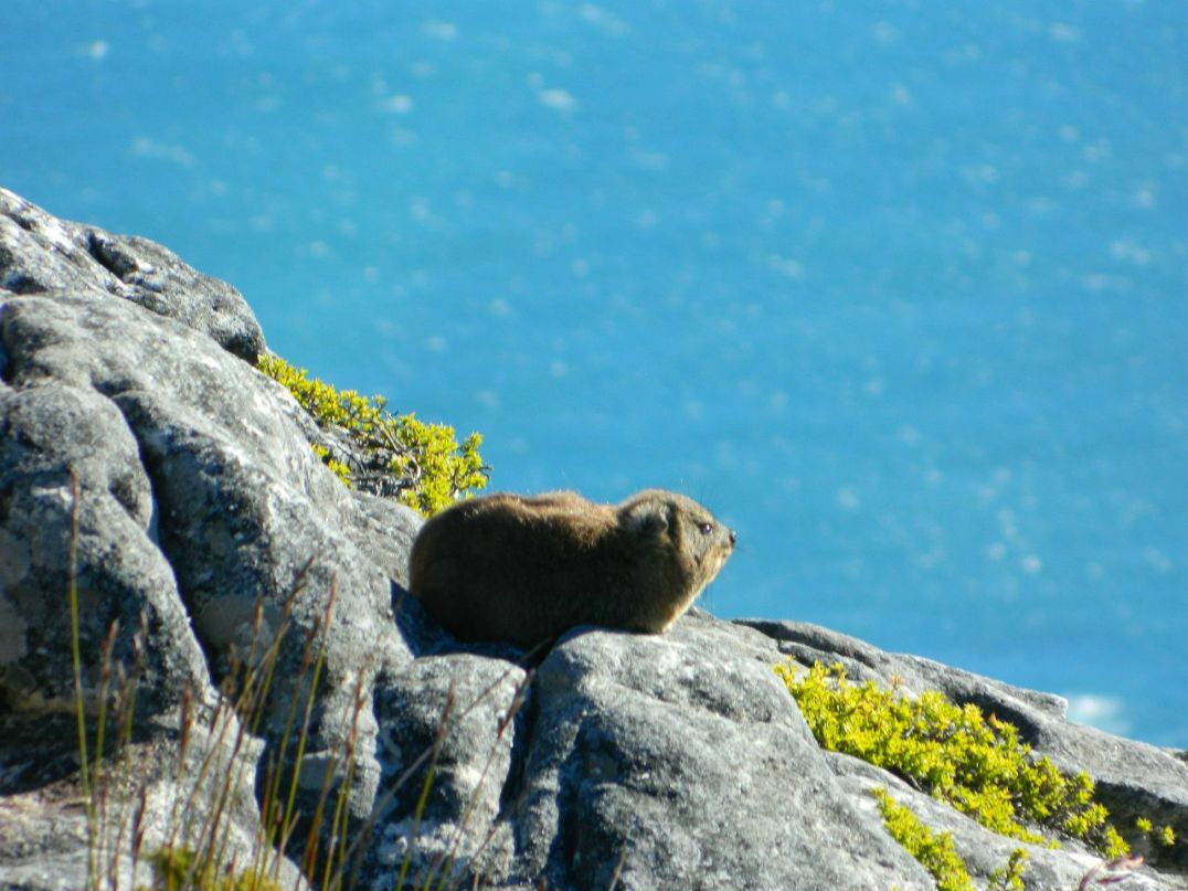 Татьяна Морозова | Санкт-Петербург