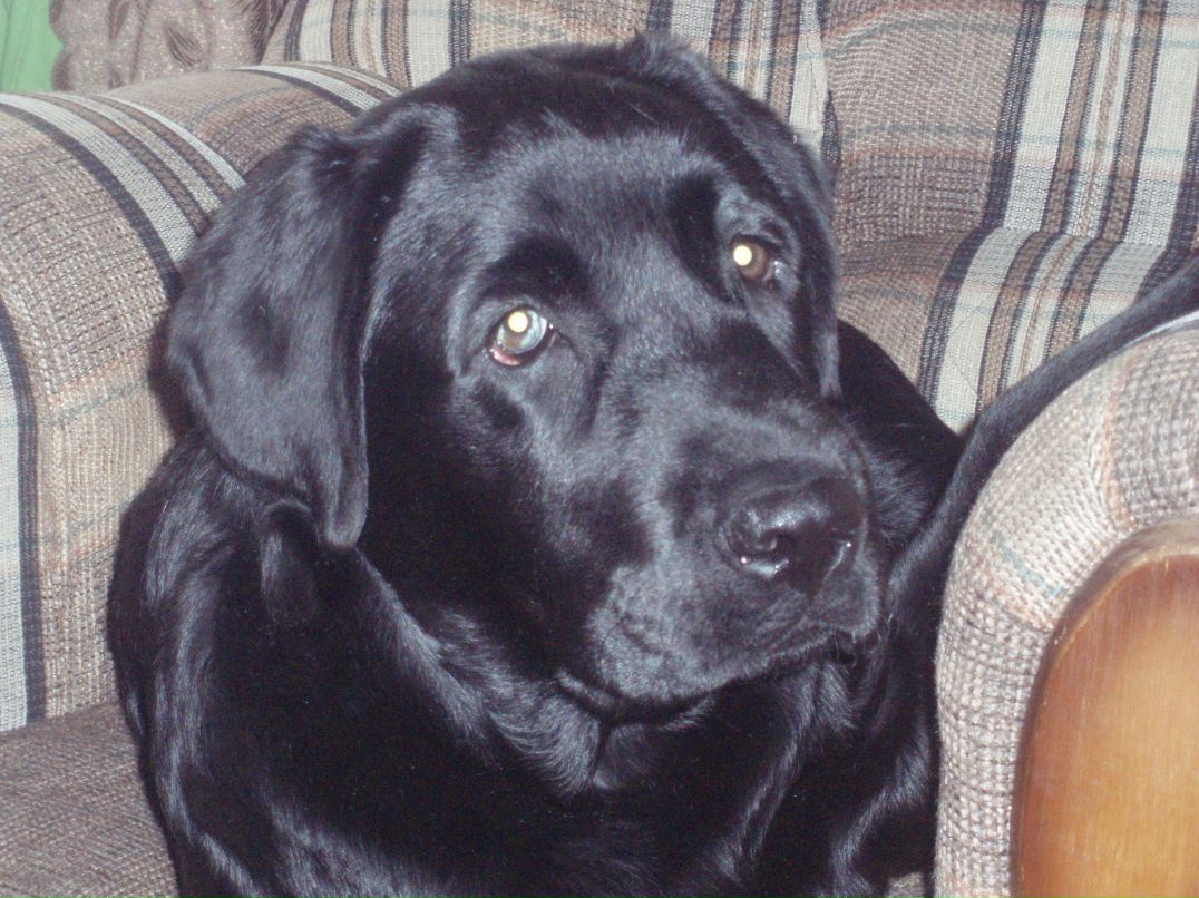 Лана Гордиенко | Киев