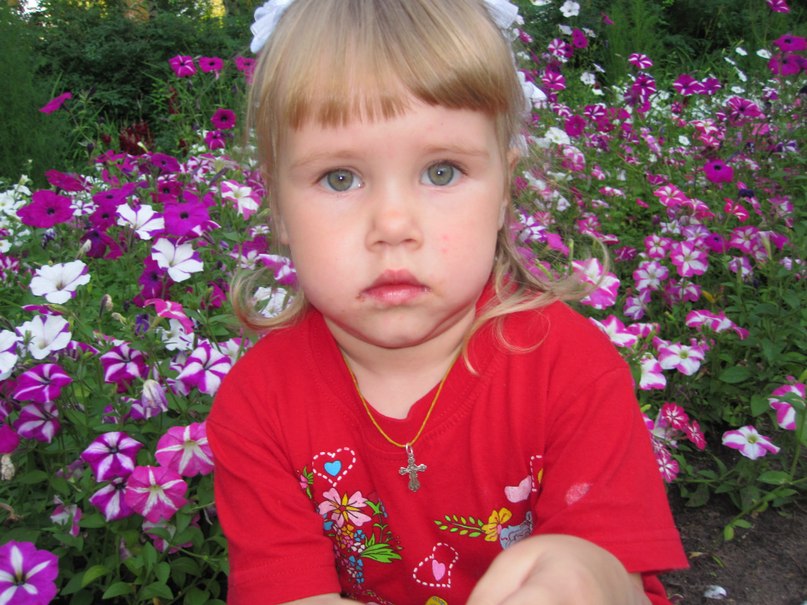 Петр Евдокимов | Можга