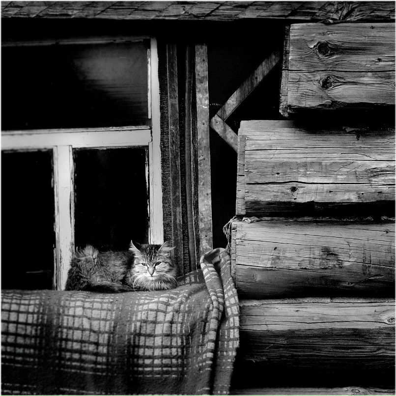 Лариса Черемникова | 