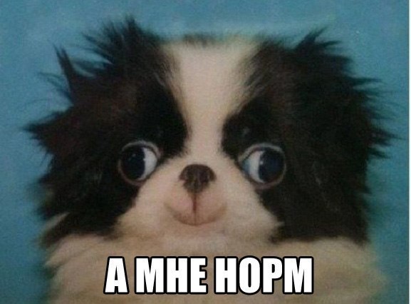 Влад Спиридонов | 