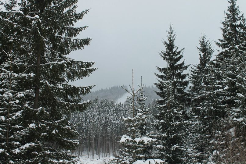 Алёнка Чернышова | Москва