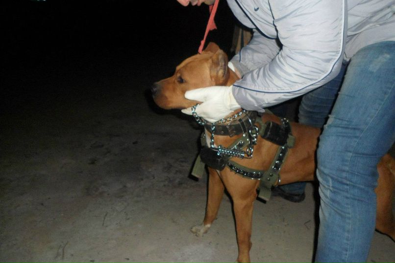 Бахтьияр Ширинов | Баку