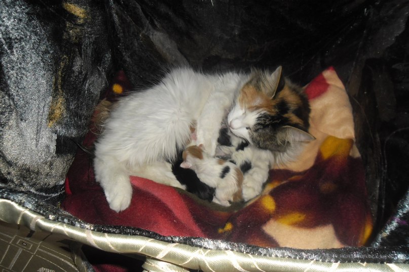 Зоя Мелкуева | Олонец