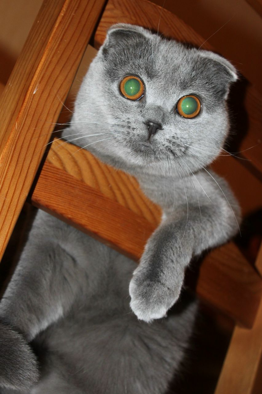 Роман Леонидович | Казань