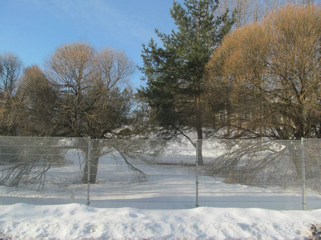 Алёна Lumikki | Москва