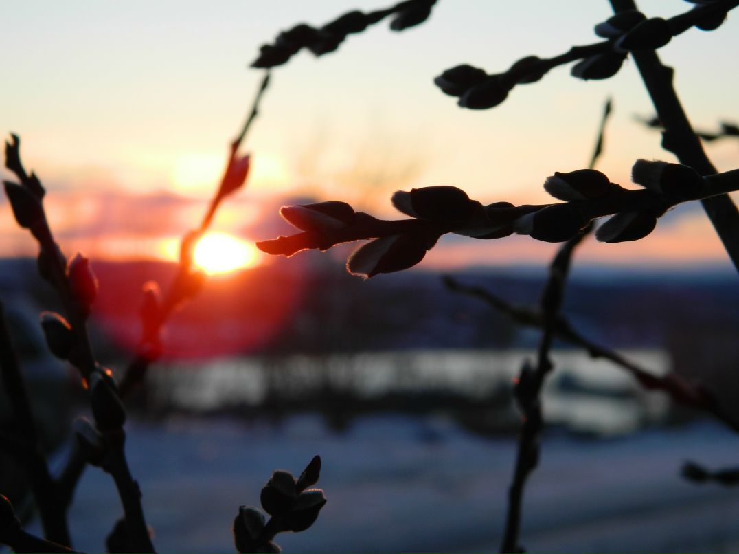 Алексей Осотов | Воронеж