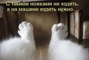 Фотография Рыжовой Анны