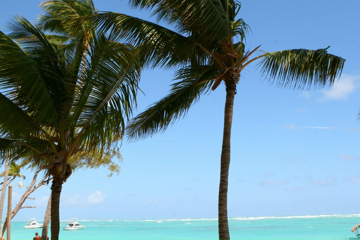 Mike Volkov | Москва