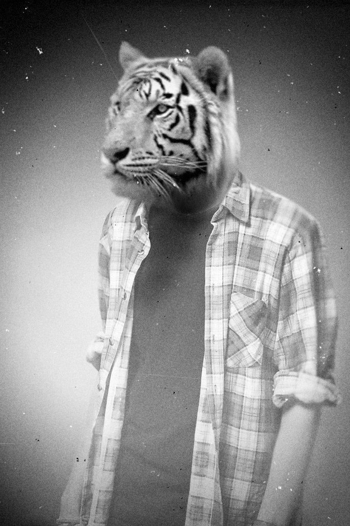 Август Малинин Fawn | Киев