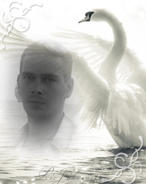 Роман Ткаченко | Черкассы