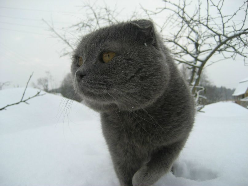 Оксана Козельская | Санкт-Петербург