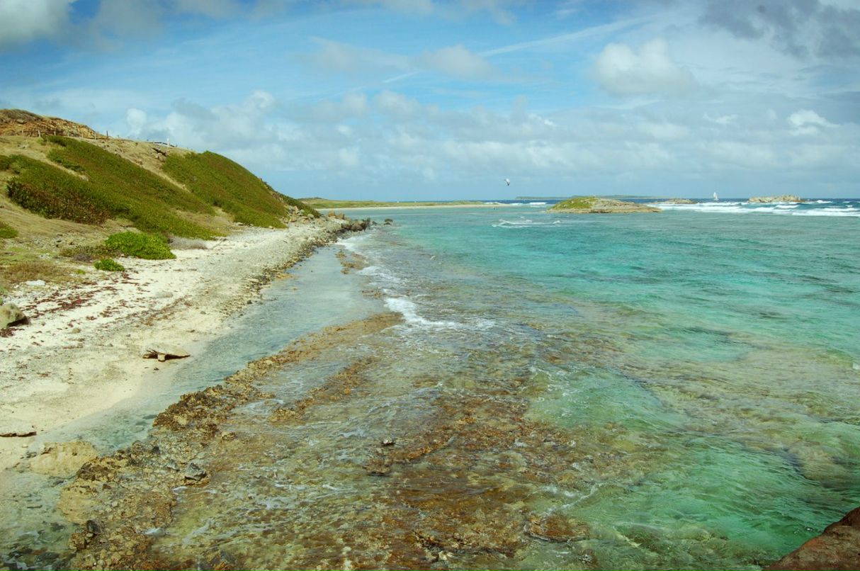 Алёна Меличева | Санкт-Петербург