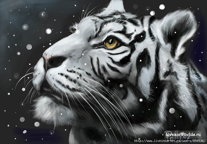 Ирина Колодяжная | 