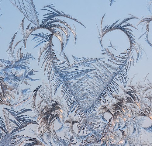 Надежда Ершова (Тараканова) | Санкт-Петербург