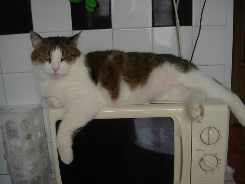 Лидия Скоробогатова | Санкт-Петербург