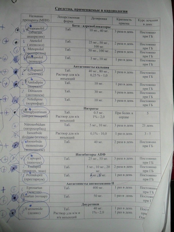 Ольга Алексеева | Самара