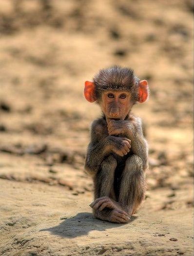 №40, Павло Гудзь, 41 год №40, Павло Гудзь, 41 год