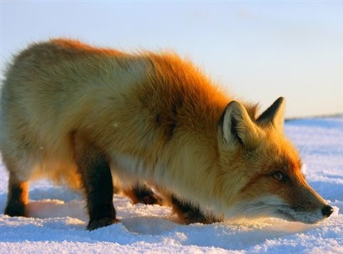 Юлия Матвеева | Кишинев